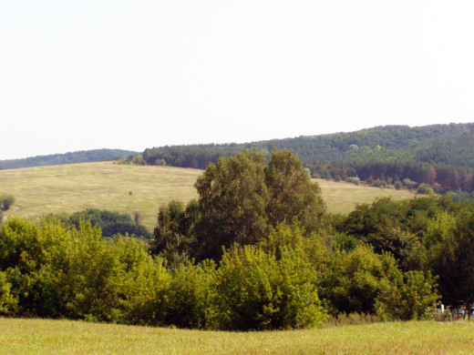 28951 (a): :1024x768